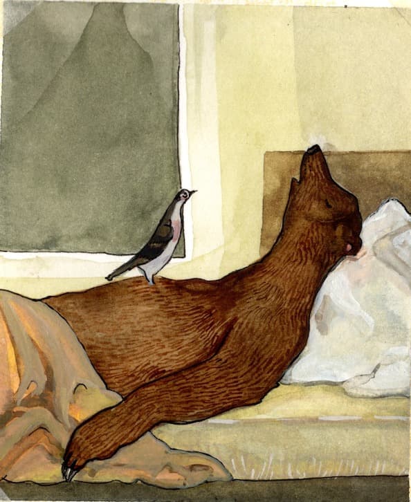 The Pigeon and the Bear